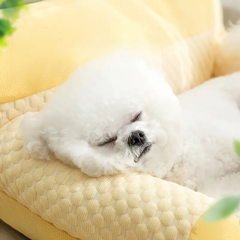 Confort Pet - Cama Para Pets Macia Antiderrapante + BRINDE